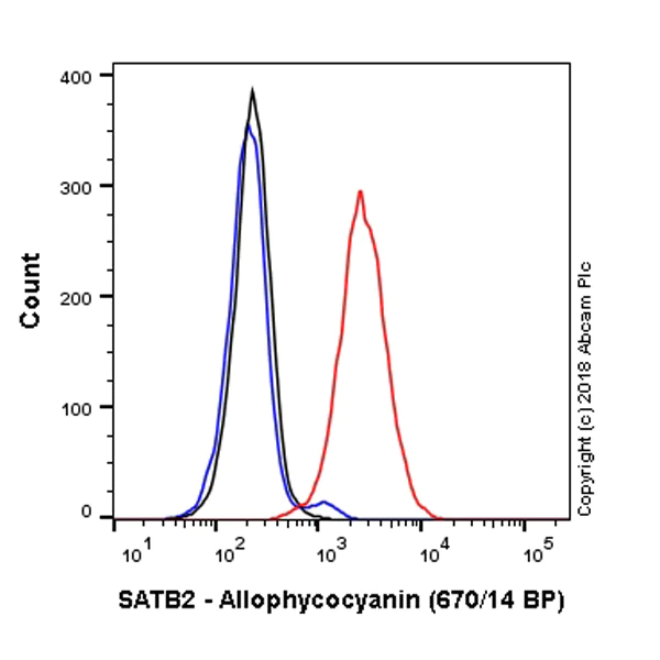 Flow Cytometry (Intracellular) - APC Anti-SATB2 antibody [EPNCIR130A] (AB225051)