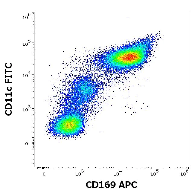 Flow Cytometry - APC Anti-Sialoadhesin/CD169 antibody [7-239] (AB272341)