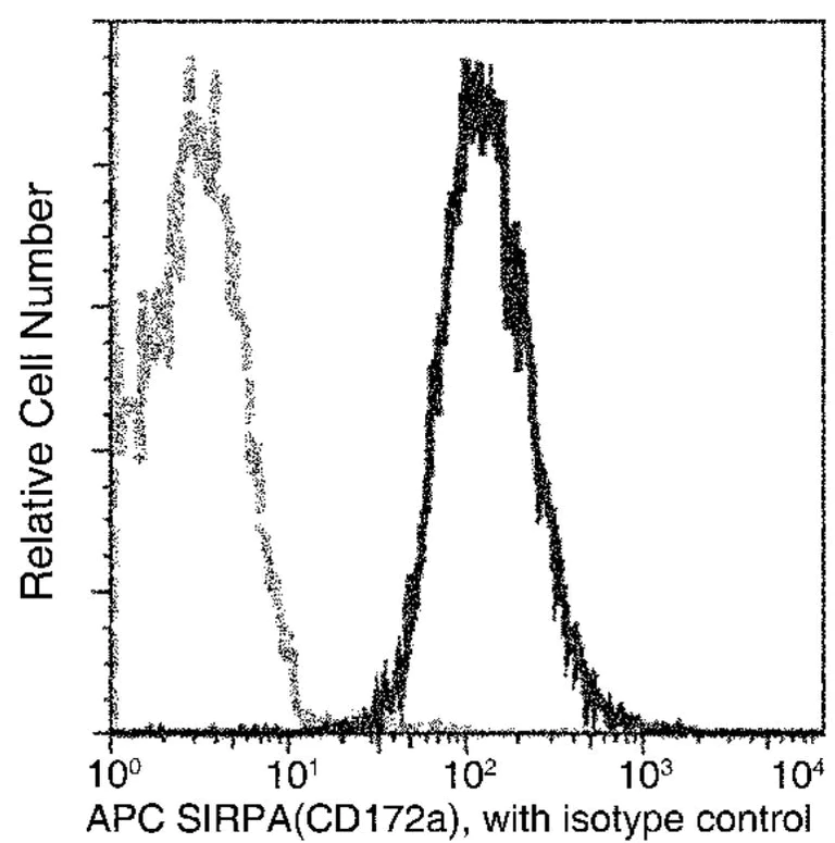 Flow Cytometry - APC Anti-SIRP alpha antibody [03] (AB275641)