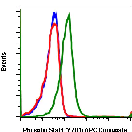 Flow Cytometry - APC Anti-STAT1 (phospho Y701) antibody [Stat1Y701-3E6] (AB278555)
