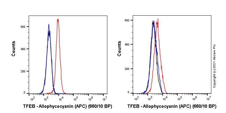 Flow Cytometry (Intracellular) - APC Anti-TFEB antibody [EPR22940-151] (AB283612)