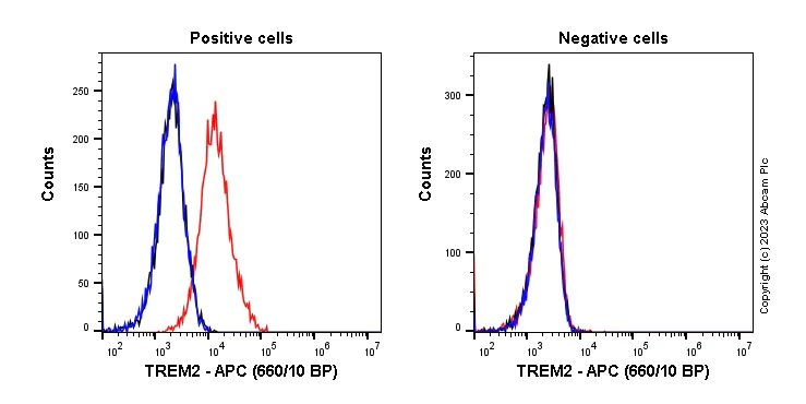 Flow Cytometry - APC Anti-TREM2 antibody [EPR23177-106] (AB313949)