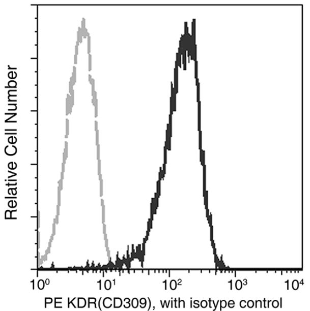 Flow Cytometry - APC Anti-VEGF Receptor 2 antibody [001] (AB275611), expandable thumbnail