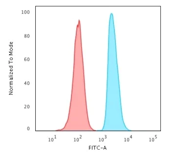 Flow Cytometry - Anti-APE1 antibody [CPTC-APEX1-2] (AB268072)