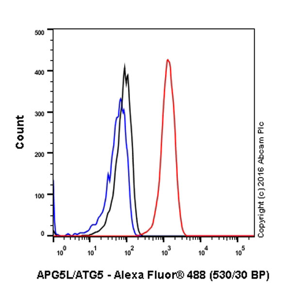 Flow Cytometry (Intracellular) - Anti-APG5L/ATG5 antibody [EPR4797] (AB109490), expandable thumbnail
