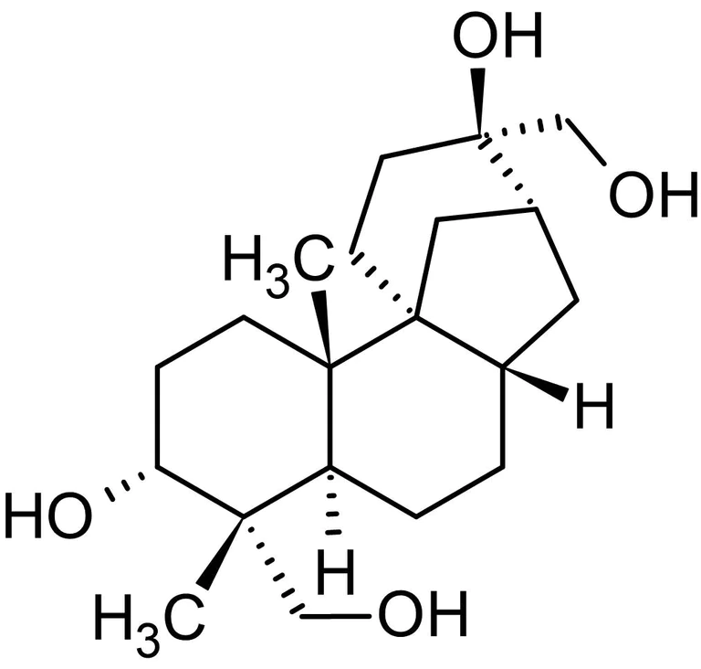 Chemical Structure - Aphidicolin, DNA polymerase alpha, delta and epsilon inhibitor (AB142400)