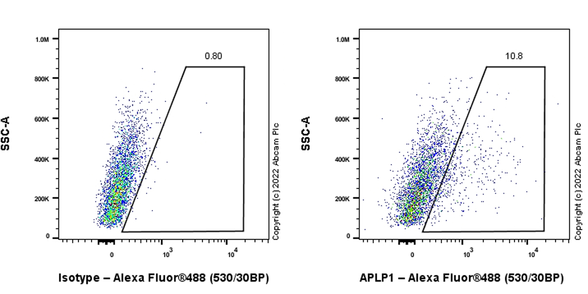 Flow Cytometry (Intracellular) - Anti-APLP1 antibody [EPR25737-10] (AB291070), expandable thumbnail
