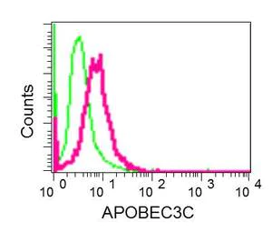 Flow Cytometry (Intracellular) - Anti-APOBEC3C/PBI antibody [EPR13417] - BSA and Azide free (AB250484)