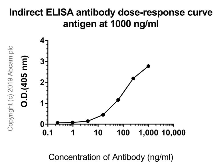 Indirect ELISA - Anti-Apolipoprotein A I antibody [EP1368Y] - BSA and Azide free (AB271849)