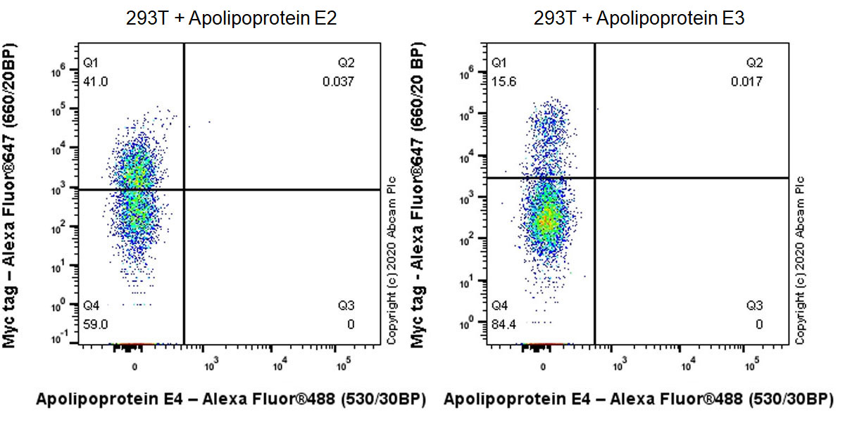 Flow Cytometry (Intracellular) - Anti-Apolipoprotein E4 antibody [EPR24181-64] - BSA and Azide free (ab279719), expandable thumbnail
