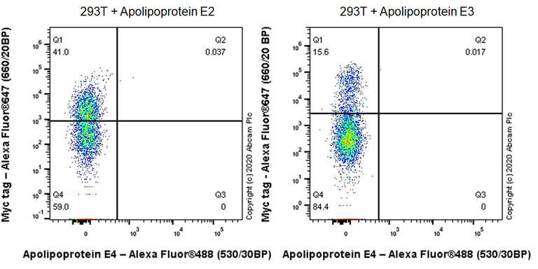 Flow Cytometry (Intracellular) - Anti-Apolipoprotein E4 antibody [EPR24181-64] - BSA and Azide free (AB279719)
