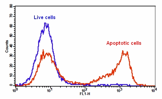 Flow Cytometry - Apoptosis/ Necrosis Assay Kit (blue, green, red) (AB176749), expandable thumbnail