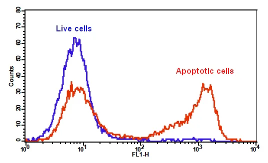 Flow Cytometry - Apoptosis/ Necrosis Assay Kit (blue, green, red) (AB176749)