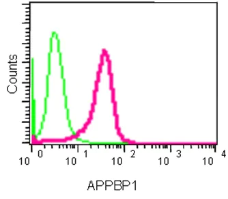 Flow Cytometry (Intracellular) - Anti-APPBP1 antibody [EPR15732] - BSA and Azide free (AB250906)