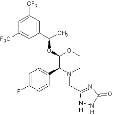 Aprepitant, hNK1 antagonist