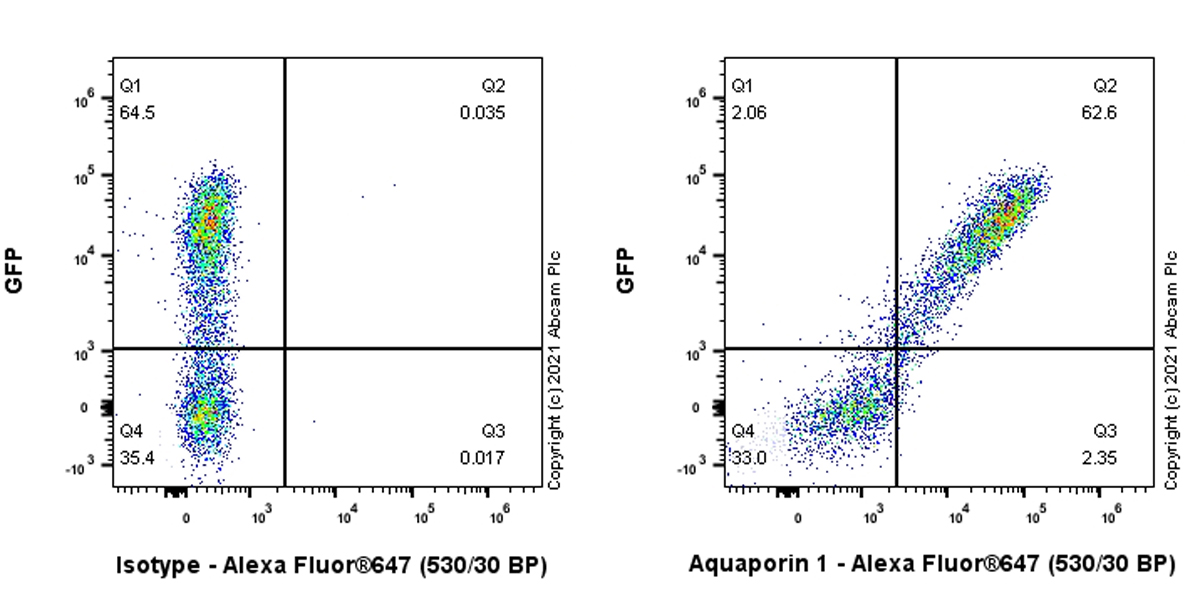 Flow Cytometry (Intracellular) - Anti-Aquaporin 1 antibody [EPR11588(B)] (AB168387), expandable thumbnail