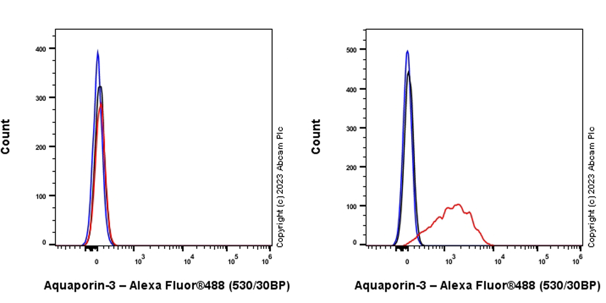 Flow Cytometry (Intracellular) - Anti-Aquaporin 3 antibody [EPR28053-11] (AB307969), expandable thumbnail