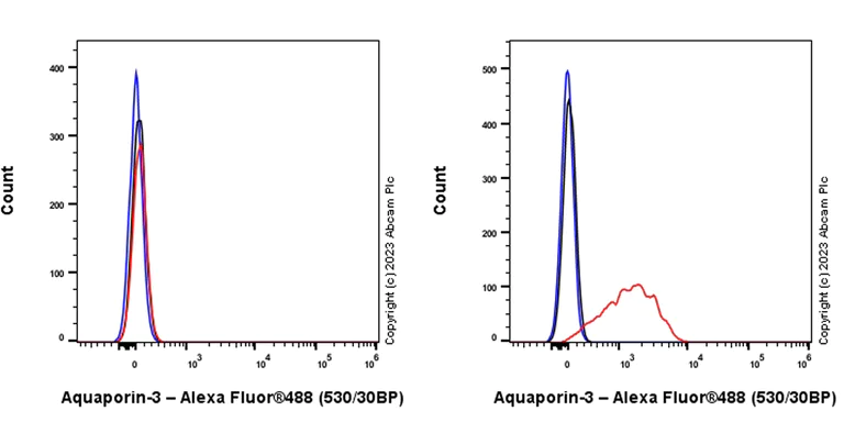 Flow Cytometry (Intracellular) - Anti-Aquaporin 3 antibody [EPR28053-11] - BSA and Azide free (AB307970)