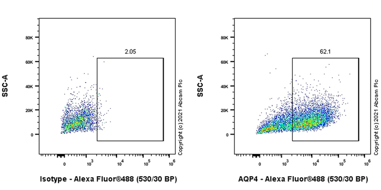 Flow Cytometry (Intracellular) - Anti-Aquaporin 4 antibody [EPR24281-65] - BSA and Azide free (AB282586)