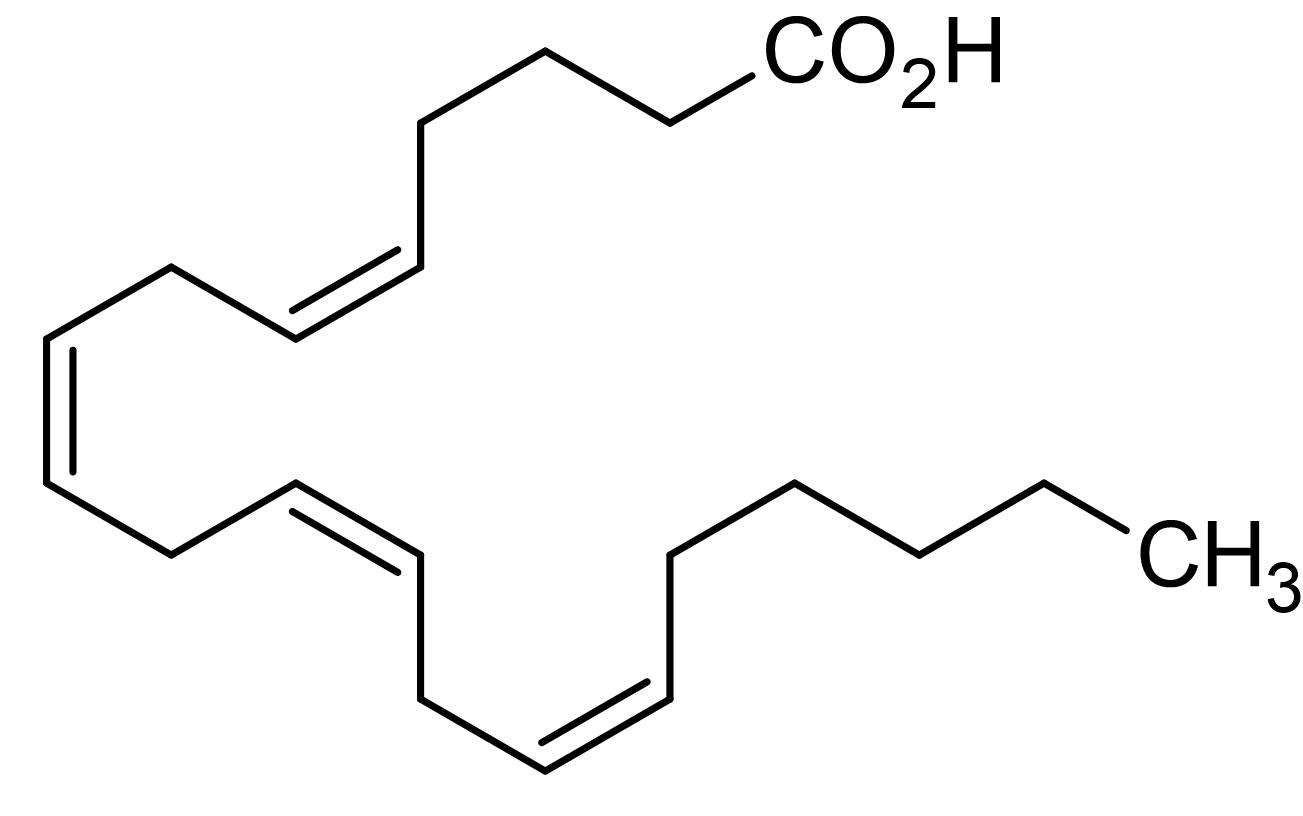 Arachidonic acid, omega6 Polyunsaturated fatty acid (CAS 506321