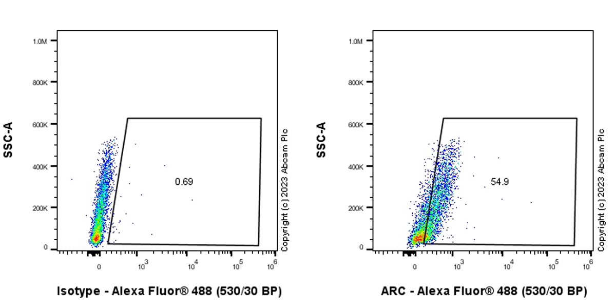 Flow Cytometry (Intracellular) - Anti-Arc antibody [EPR24093-90] - BSA and Azide free (ab309194), expandable thumbnail