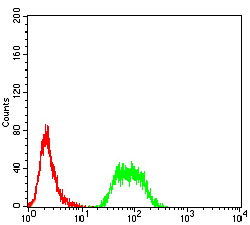 Flow Cytometry - Anti-ARD1A antibody [3G3B9] (AB234076), expandable thumbnail