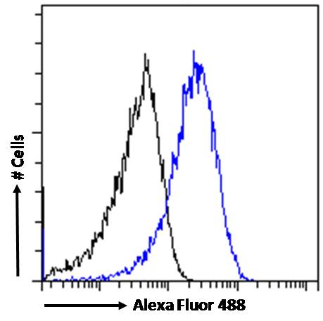 Flow Cytometry - Anti-ARF1 antibody (AB58578)
