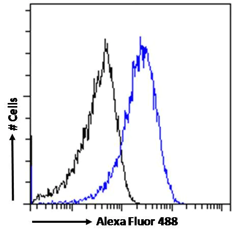 Flow Cytometry - Anti-ARF1 antibody (AB58578)