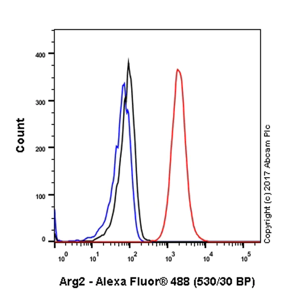 Flow Cytometry (Intracellular) - Anti-Arg2 antibody [EPR9473] - BSA and Azide free (AB225989)