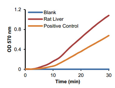 Functional Studies - Arginase Activity Assay Kit (Colorimetric) (AB180877), expandable thumbnail