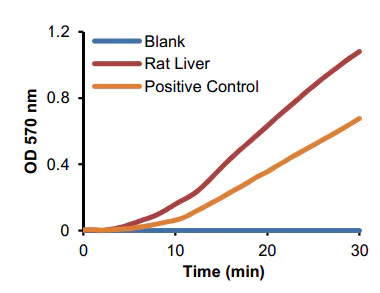 Functional Studies - Arginase Activity Assay Kit (Colorimetric) (AB180877)