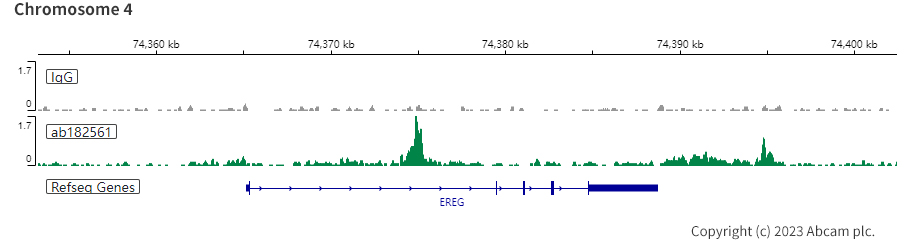 ChIC/CUT&RUN sequencing - Anti-ARID1A antibody [EPR13501-73] (AB182561), expandable thumbnail