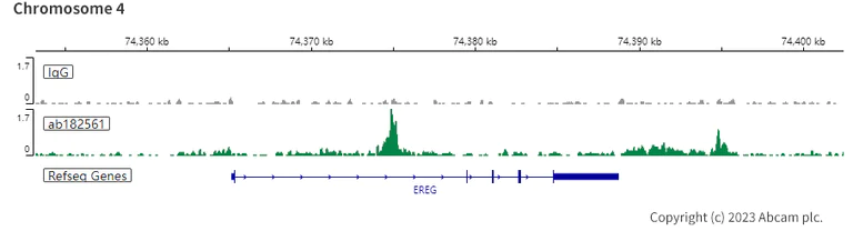 ChIC/CUT&RUN sequencing - Anti-ARID1A antibody [EPR13501-73] (AB182561)