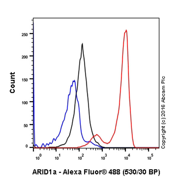 Flow Cytometry (Intracellular) - Anti-ARID1A antibody [EPR13501] (AB182560), expandable thumbnail