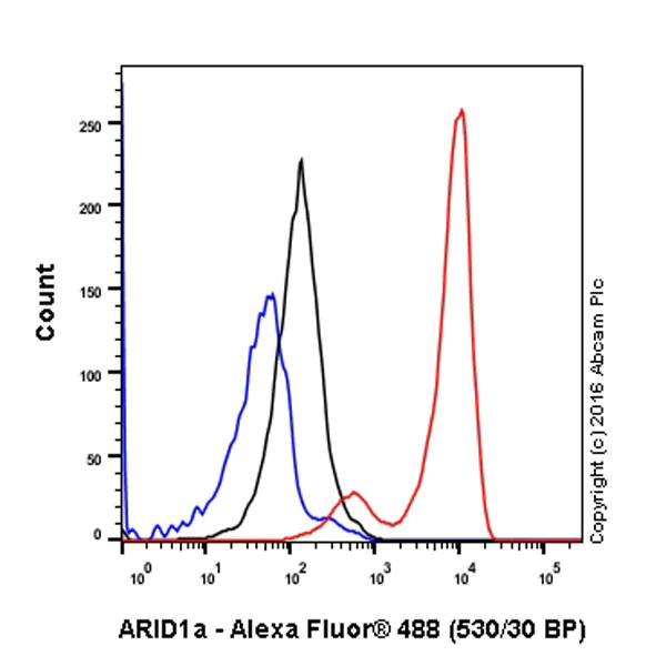 Flow Cytometry (Intracellular) - Anti-ARID1A antibody [EPR13501] - BSA and Azide free (AB217154)