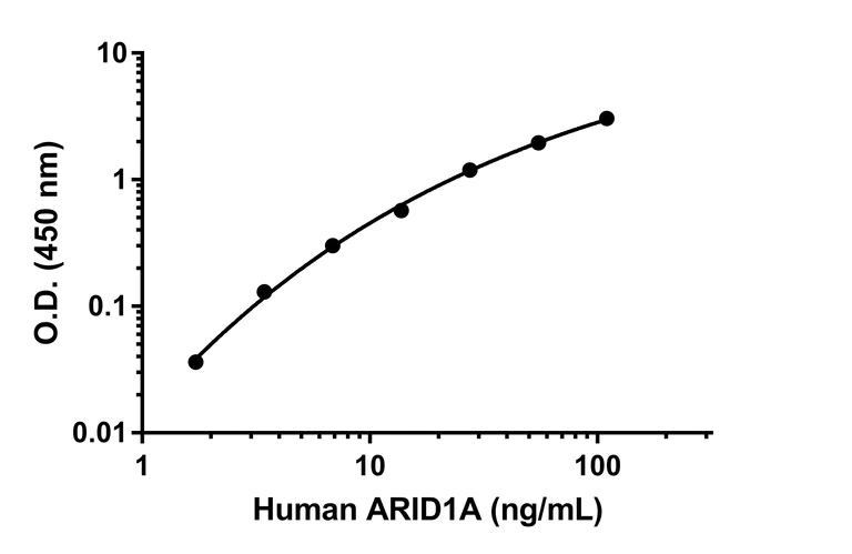 Sandwich ELISA - Anti-ARID1A antibody [EPR24489-2] (BSA and Azide free - BSA and Azide free (Detector) (AB302736)
