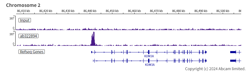 ChIP-sequencing - Anti-ARID3A antibody [EPR26964-29] (AB322894), expandable thumbnail