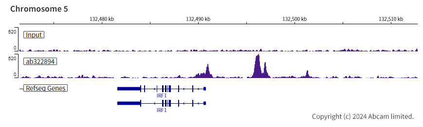 ChIP-sequencing - Anti-ARID3A antibody [EPR26964-29] (AB322894), expandable thumbnail