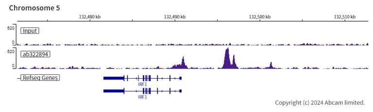 ChIP-sequencing - Anti-ARID3A antibody [EPR26964-29] (AB322894)