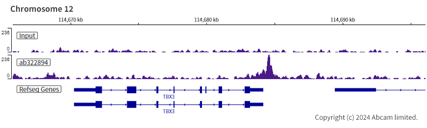 ChIP-sequencing - Anti-ARID3A antibody [EPR26964-29] (AB322894), expandable thumbnail