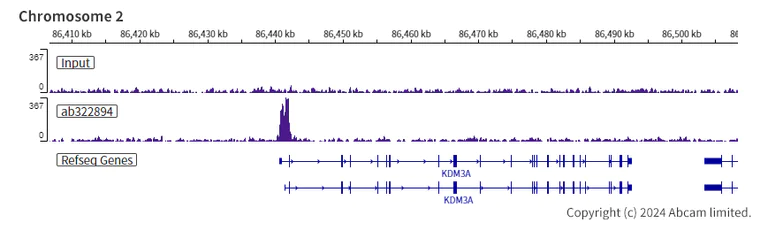 ChIP-sequencing - Anti-ARID3A antibody [EPR26964-29] - BSA and Azide free (AB324818)