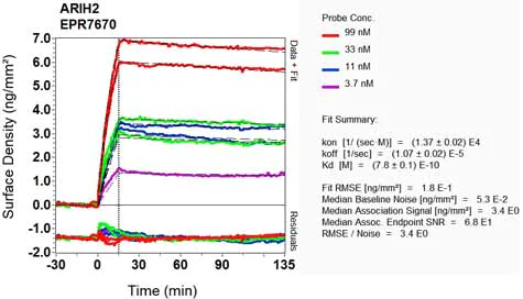 OI-RD Scanning - Anti-ARIH2/TRIAD1 antibody [EPR7670] - BSA and Azide free (AB248635)