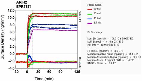 OI-RD Scanning - Anti-ARIH2/TRIAD1 antibody [EPR7671] (AB133653), expandable thumbnail