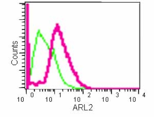 Flow Cytometry (Intracellular) - Anti-ARL2 antibody [EPR14436] (AB183510)