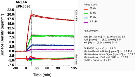 OI-RD Scanning - Anti-ARL4A antibody [EPR6086] (AB124690)
