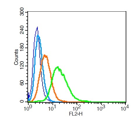 Flow Cytometry (Intracellular) - Anti-Aromatase antibody (AB215443), expandable thumbnail
