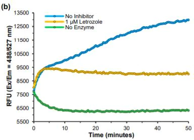 Functional Studies - Aromatase (CYP19A) Activity Assay Kit (Fluorometric) (AB273306)