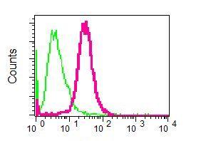 Flow Cytometry (Intracellular) - Anti-Arp2 antibody [EPR7979] (AB129018), expandable thumbnail