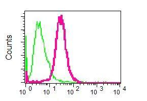 Flow Cytometry (Intracellular) - Anti-Arp2 antibody [EPR7979] - BSA and Azide free (AB248263)