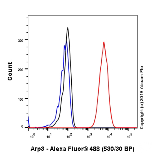 Flow Cytometry (Intracellular) - Anti-Arp3 antibody [EPR10429] - C-terminal (AB181164)